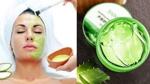ত্বকের যত্নে অ্যালোভেরা কতটুকু কার্যকর