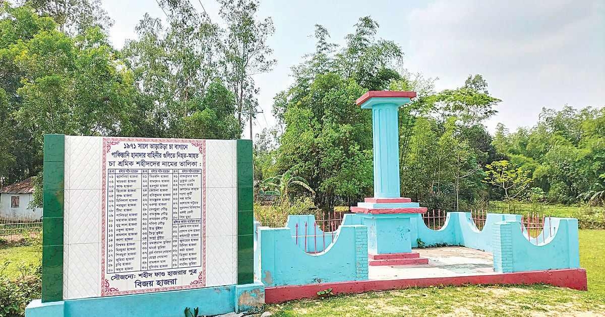 '৭১ এর মুক্তিযুদ্ধে শ্রীমঙ্গলের চা শ্রমিকদের আত্মত্যাগ 