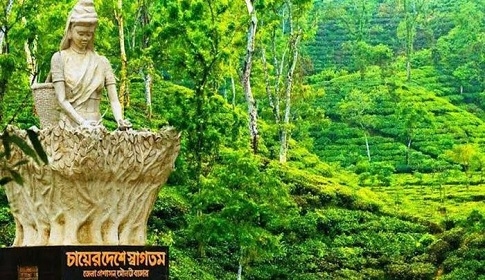 শীতের ঘুরে আসুন  চায়ের রাজধানী ও পর্যটন নগরী শ্রীমঙ্গল