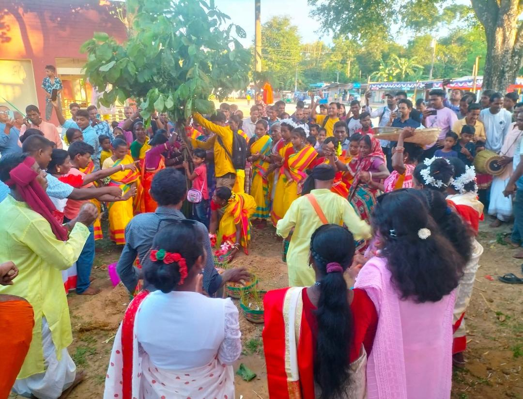 শ্রীমঙ্গলে কারাম উৎসব: নৃত্য, সুর ও সংস্কৃতির প্রাণবন্ত মিলনমেলা