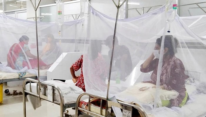 ডেঙ্গুতে ঝরল আরও ৩ প্রাণ, হাসপাতালে ৭৩৫	