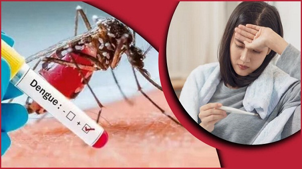 সবুজের প্রত্যাশায় মনোবলের জয়: দুর্যোগে নয়, ঐক্যে জিতবে পুঁজিবাজার