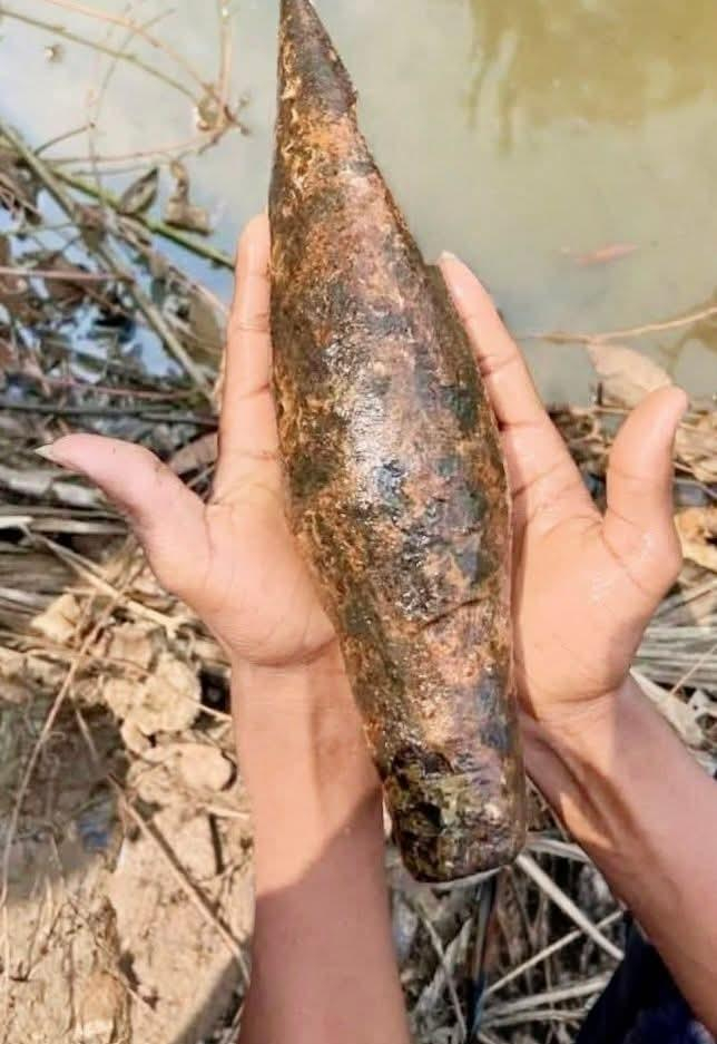 শ্রীমঙ্গলে মুক্তিযুদ্ধের সময়কার অবিস্ফোরিত মর্টার শেল উদ্ধার