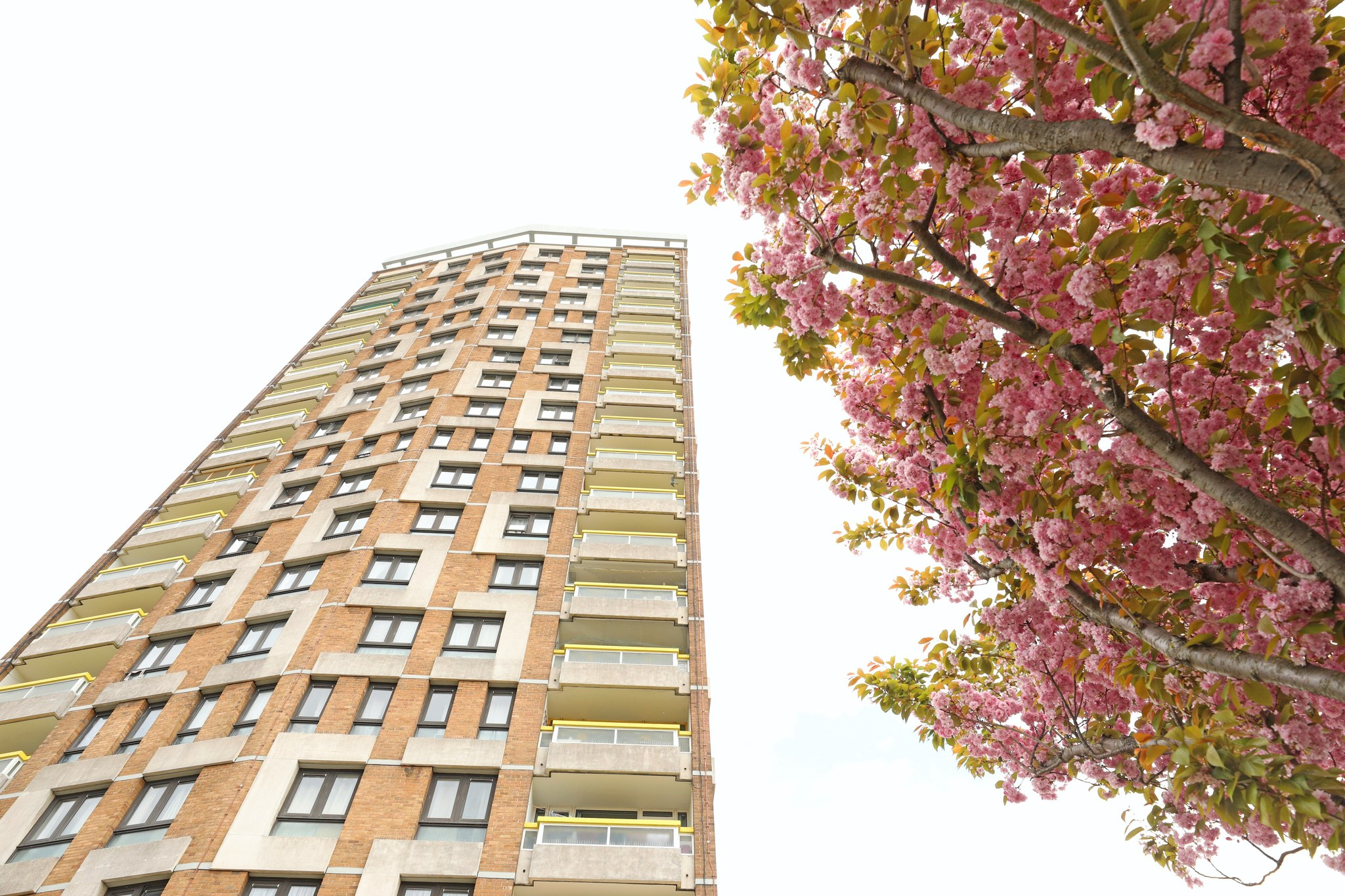 টাওয়ার হ্যামলেটস্ কাউন্সিলের হাউজিং সেবার সাথে যোগাযোগের নতুন অনলাইন পদ্ধতি চালু হচ্ছে