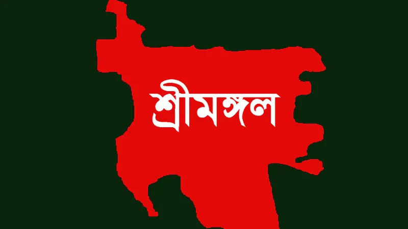 শ্রীমঙ্গলে বাড়ছে সহিংসতা ও অপরাধ—আতঙ্কে জনজীবন, প্রশ্নে আইনশৃঙ্খলা পরিস্থিতি