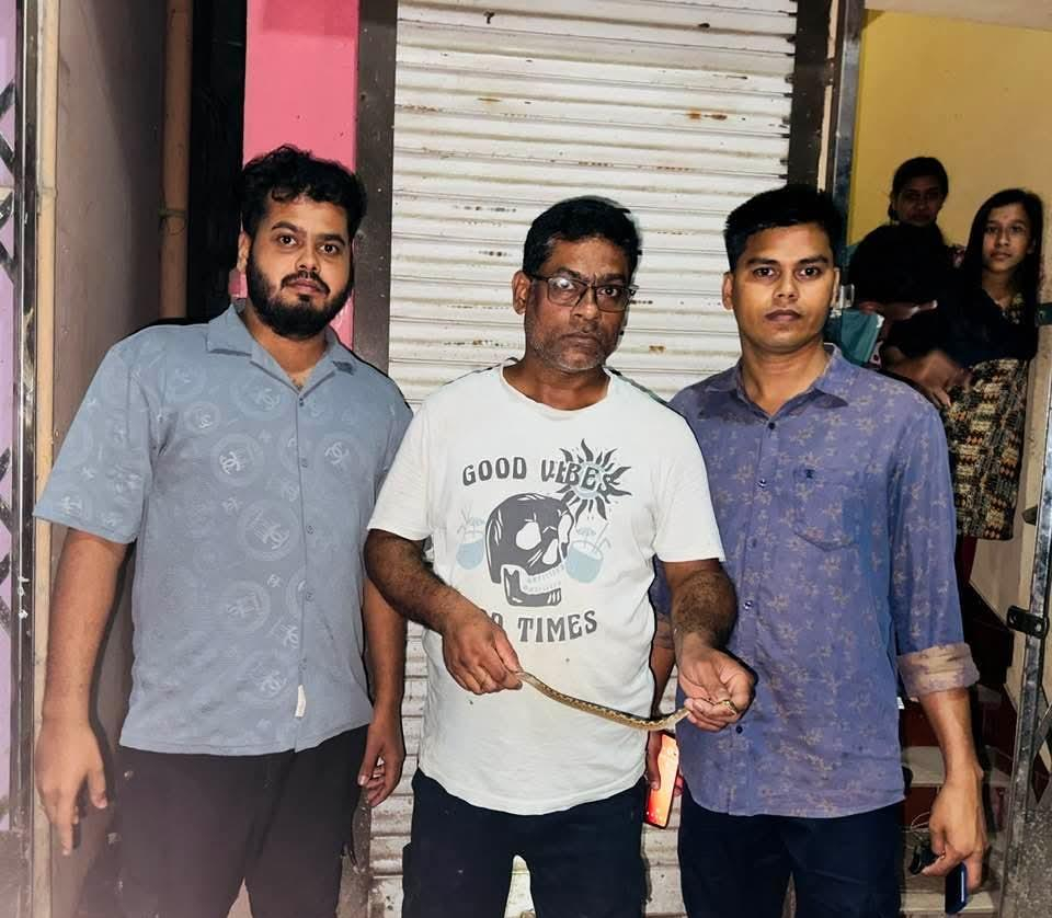 শ্রীমঙ্গলে পুরান বাজার থেকে অক্ষত অবস্থায় ঘরগিন্নি সাপ উদ্ধার