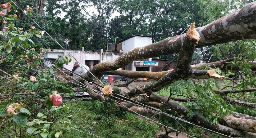 কালবৈশাখীর তাণ্ডবে লন্ডভন্ড মৌলভীবাজার: বিদ্যুৎহীন জনজীবনে দুর্ভোগ, মাঠে পুনরুদ্ধারকর্মীরা