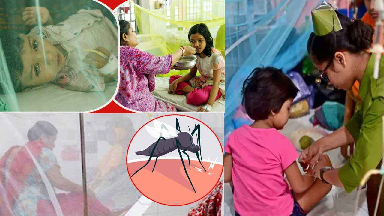ডেঙ্গুতে আরও ৫ জনের মৃত্যু, হাসপাতালে ভর্তি ১৭২