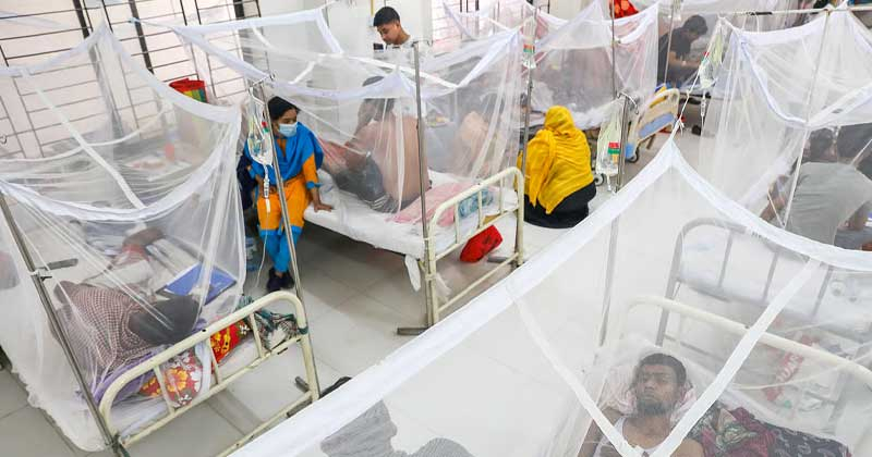 দেশব্যাপী ডেঙ্গুর ভয়াবহ পরিস্থিতির আশঙ্কা