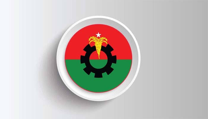 রাষ্ট্রপতি পদের বিষয়ে দ্রুত সিদ্ধান্ত নেবে বিএনপি