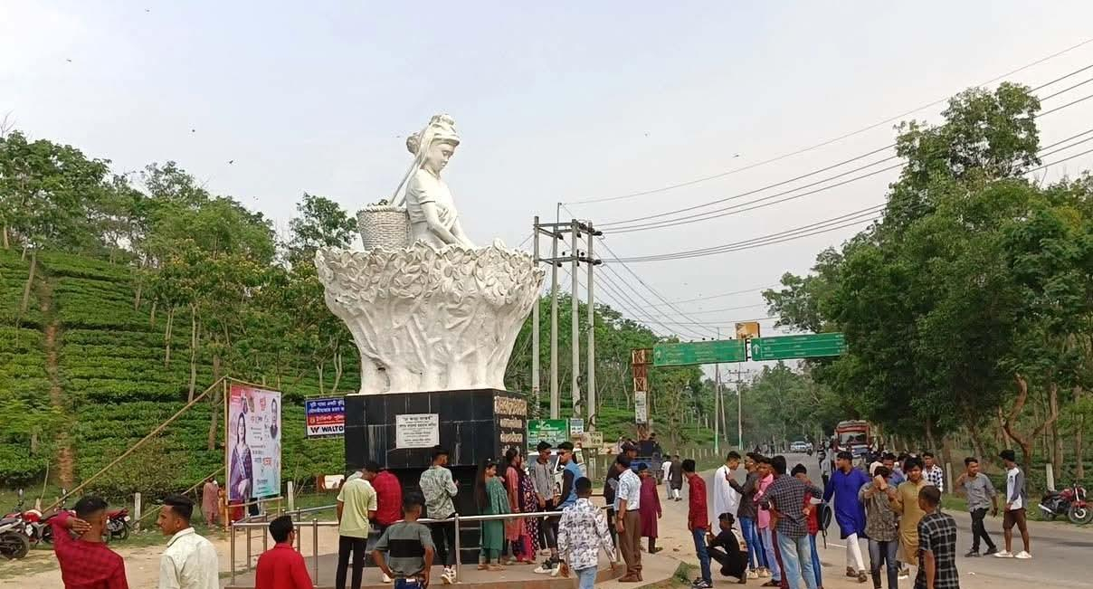 মৌলভীবাজারের প্রবেশদ্বারে ‘চা কন্যা’র ছবি তুলতে গিয়ে জীবনের ঝুঁকি, দ্রুত নিরাপত্তা ব্যবস্থা চান পর্যটকরা