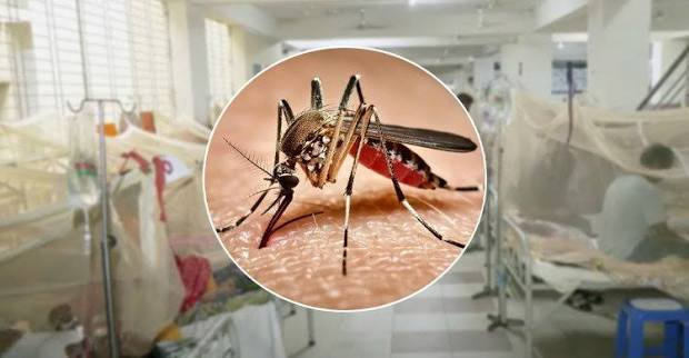 ডেঙ্গুতে আরও ৫ মৃত্যু, নতুন আক্রান্ত ১৪৮৪