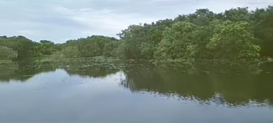 বিশ্বের বৃহত্তম গ্রাম বানিয়াচং: ইতিহাস, ঐতিহ্য ও প্রাকৃতিক সৌন্দর্যের অনন্য জনপদ