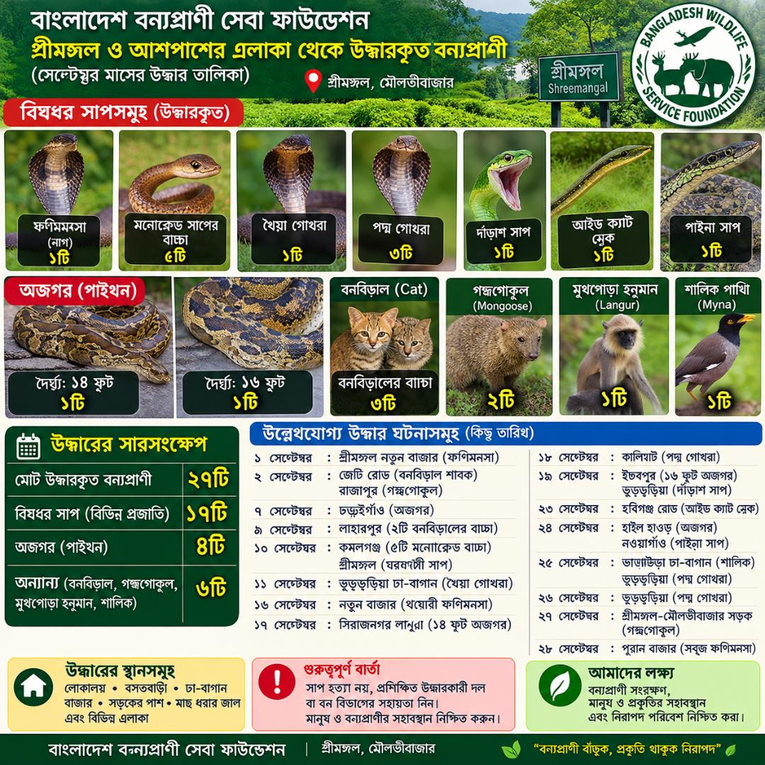 শ্রীমঙ্গলে সেপ্টেম্বরে প্রাণঘাতী, বিষধর সাপ ও অজগরসহ ২৭টি বন্যপ্রাণী উদ্ধার