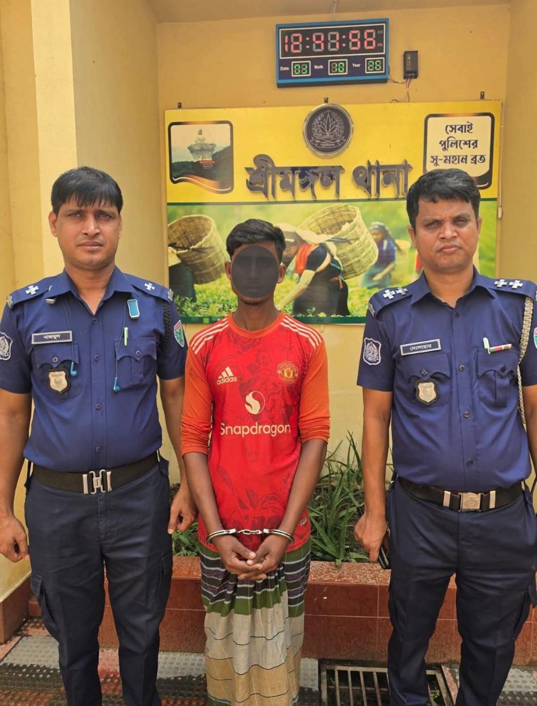 শ্রীমঙ্গলে চুরির কয়েক ঘণ্টার মধ্যে ষাঁড় উদ্ধার, গ্রেপ্তার ১