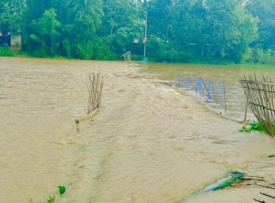 কমলগঞ্জে লাউয়াছড়া গাংয়ের বাঁধ ভেঙে সড়কে পানি, পানিবন্দী ৫ শতাধিক মানুষ