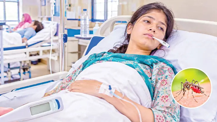 ডেঙ্গুতে একদিনে ১০ জনের মৃত্যু, হাসপাতালে ১৯৪৩