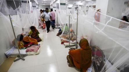 ডেঙ্গুতে ৫ জনের মৃত্যু, হাসপাতালে ভর্তি ৯৫৩