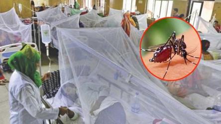 সারাদেশে ডেঙ্গুতে ৫ জনের মৃত্যু, হাসপাতালে ৮৪১
