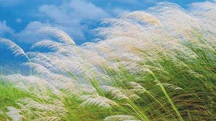 রূপে ভরা আশ্বিন