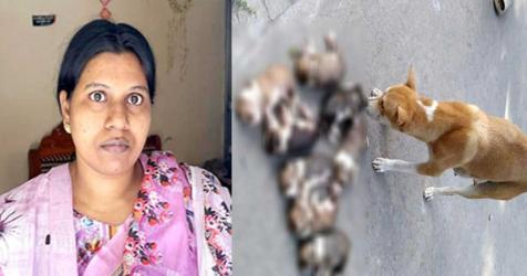 পানিতে ডুবিয়ে ৮ কুকুরছানা হত্যার অভিযোগে নিশি খাতুন গ্রেপ্তার