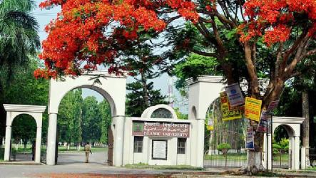 তারেক রহমানকে নিয়ে আপত্তিকর পোস্ট, তদন্তে কমিটি গঠন ইবি প্রশাসনের