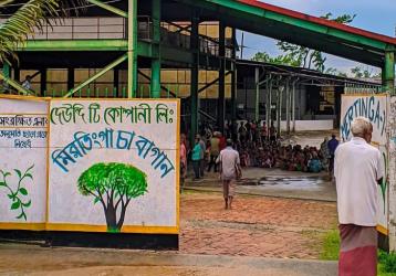 বেতন দিতে পারছে না চার চা বাগান, কর্মবিরতিতে শ্রমিকরা