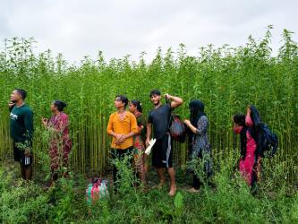 কুষ্টিয়া সীমান্তে ০৮ জনকে পুশ-ইনের চেষ্টা বিএসএফের, রুখে দিল বিজিবি