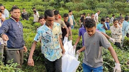 চা বাগান থেকে নবদম্পতির ঝুলন্ত মরদেহ উদ্ধার