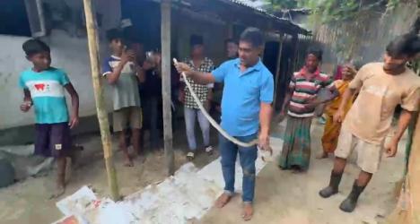 শ্রীমঙ্গলে রান্নাঘরের লাকড়ির স্তূপ থেকে দাঁড়াশ সাপ উদ্ধার